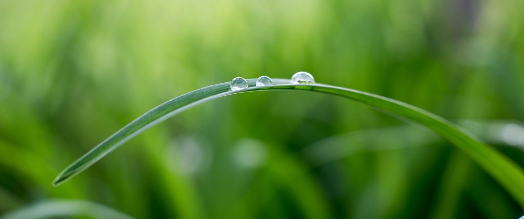 helderheid vind je in de kleinste dingen