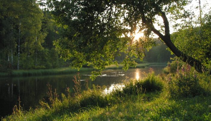 wandelcoaching